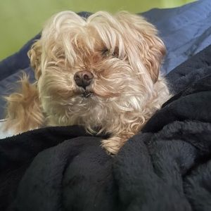 Meet your Posher, Gabe